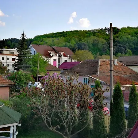 Coroni - Delegati Si Muncitori * Brasov