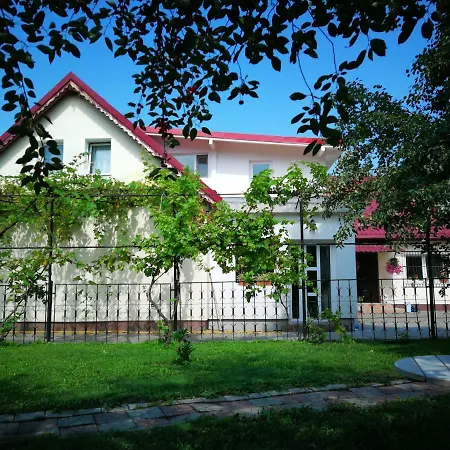 Coroni - Delegati Si Muncitori Brasov