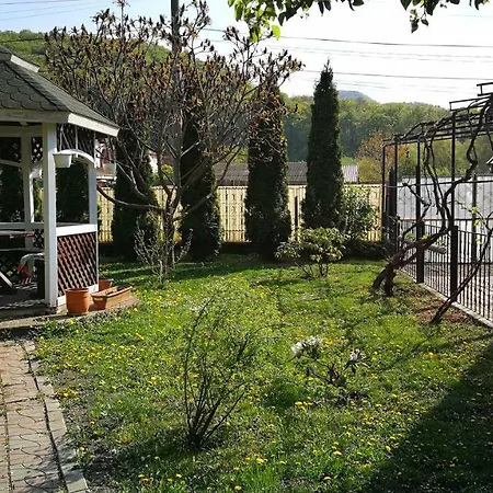 Coroni - Delegati Si Muncitori * בראשוב