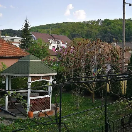 Coroni - Delegati Si Muncitori Pensjonat Braszów