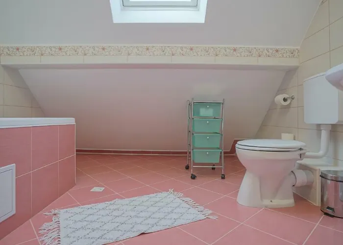 Coroni - Delegati Si Muncitori