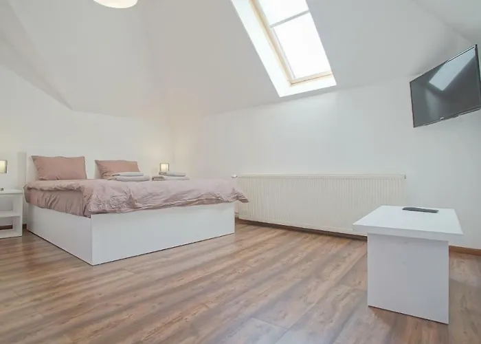 Coroni - Delegati Si Muncitori