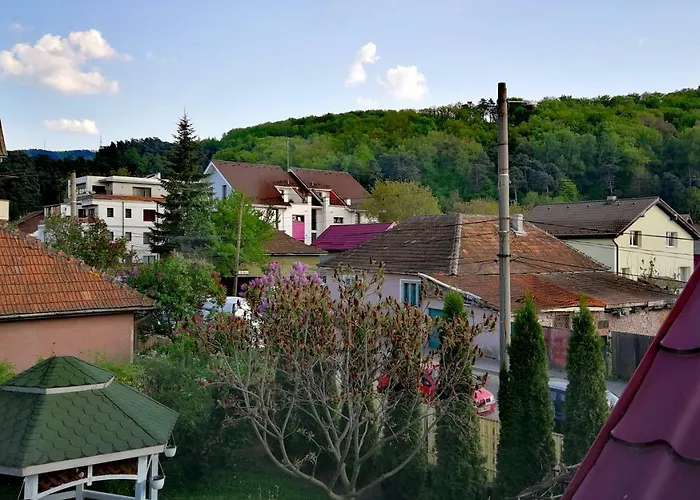 Coroni - Delegati Si Muncitori * Braszów