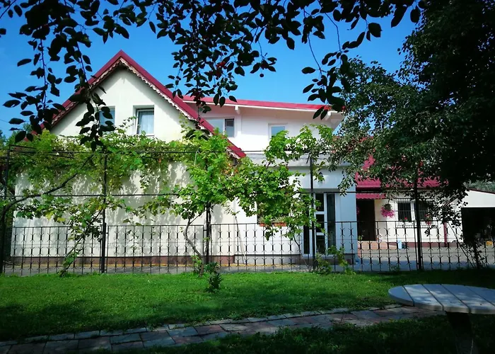 Coroni - Delegati Si Muncitori Brasov