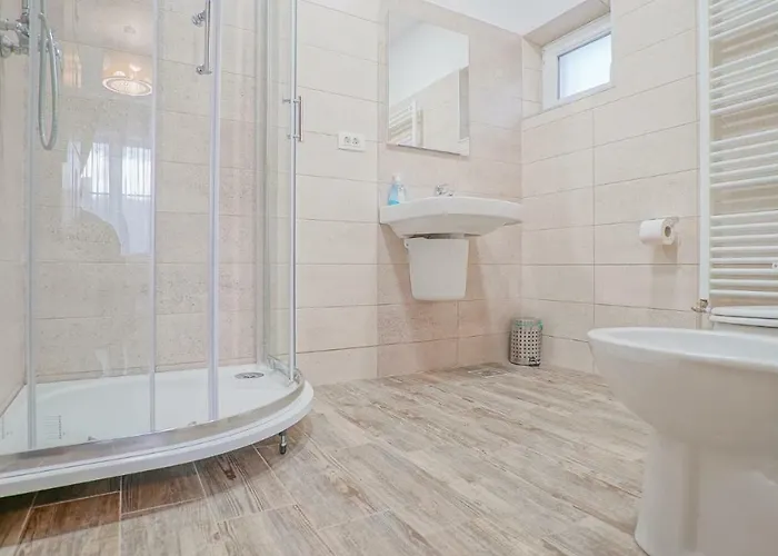 Coroni - Delegati Si Muncitori * Brasov