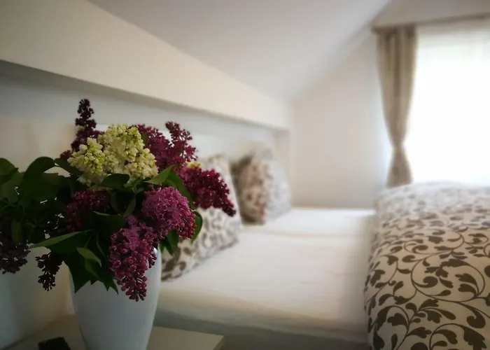 Coroni - Delegati Si Muncitori *