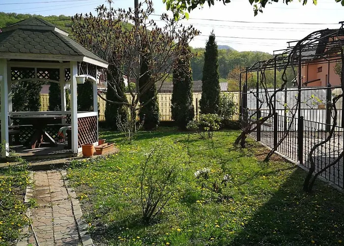 Coroni - Delegati Si Muncitori * Brasov