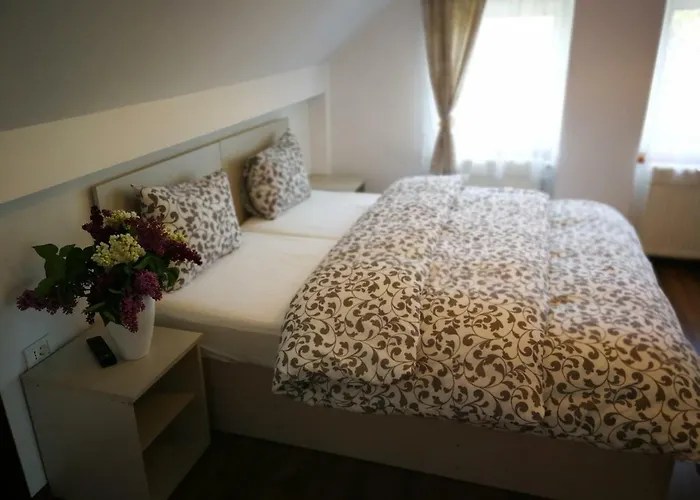 Coroni - Delegati Si Muncitori *